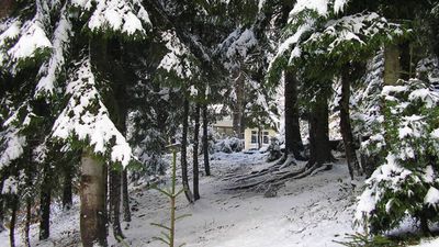 სამთა ნუნისი_2