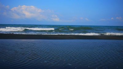 შეკვეთილი_2