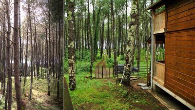 შეკვეთილი_3