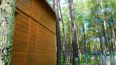 შეკვეთილი_4