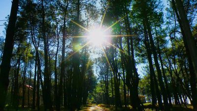 შეკვეთილი_6