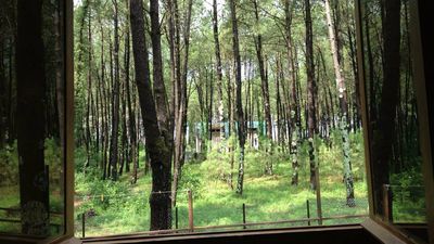 შეკვეთილი_7