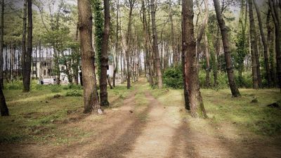 შეკვეთილი_8