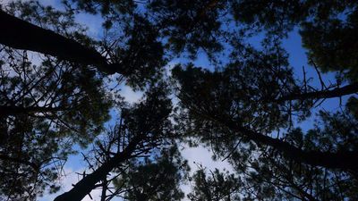 შეკვეთილი_9