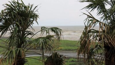 სიზოუნი_4