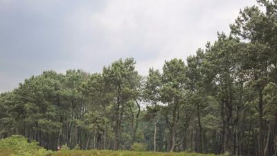 სიზოუნი_5