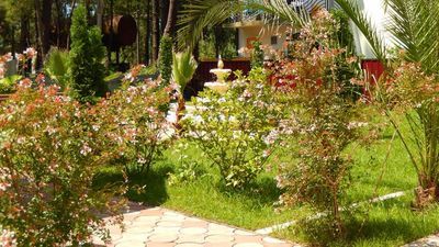 ოქროს საწმისი_5