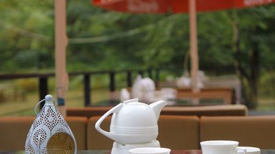 ვალდ ჰოტელ ლაგოდეხი_8