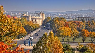 მარგო პალასი_2