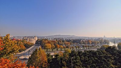 მარგო პალასი_3