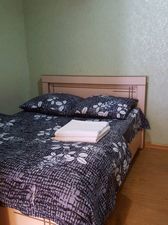 ვიზიტორი_8