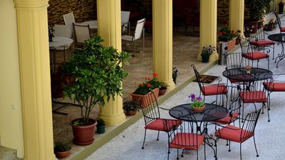 ჩვენი ეზო_6