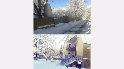 ფემილი_5