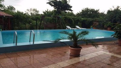 ვაინ გარდენ_6