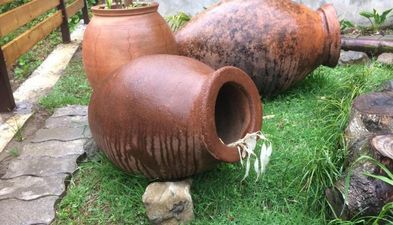 ოჩოს ქოხი_4