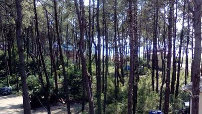 ფემილი_5