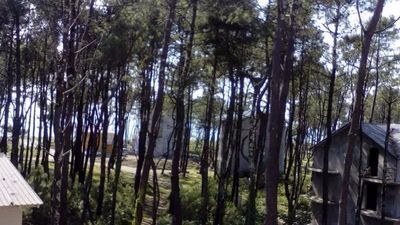 ფემილი_6