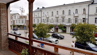 მიმინო_3