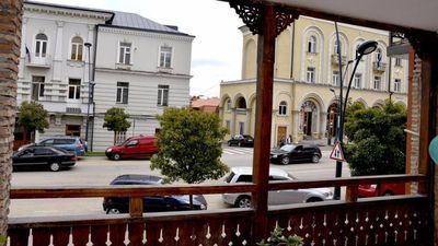 მიმინო_7