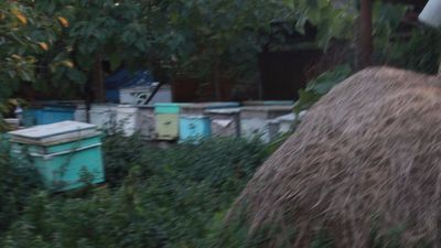 ალავერდი_4