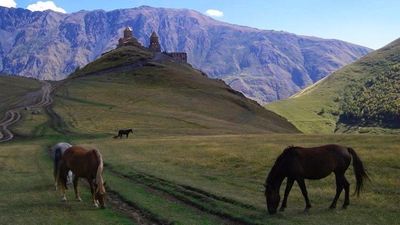 ინეზას საოჯახო სასტუმრო_8