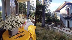Guesthouse Bakuriani 9
