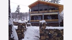 Guesthouse Bakuriani 12