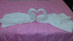 საოჯახო სასტუმრო ბაკურიანში წერეთელზე 31