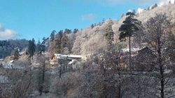 საოჯახო სასტუმრო ბაკურიანში წერეთელზე 8