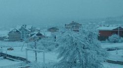 საოჯახო სასტუმრო ბაკურიანში წერეთელზე 12