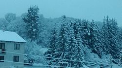 საოჯახო სასტუმრო ბაკურიანში წერეთელზე 13