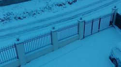 საოჯახო სასტუმრო ბაკურიანში წერეთელზე 14