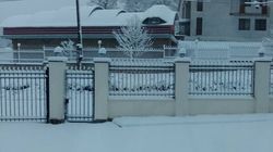 საოჯახო სასტუმრო ბაკურიანში წერეთელზე 15