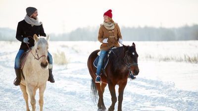 ორბი პალასის აპარტამენტი 213_4