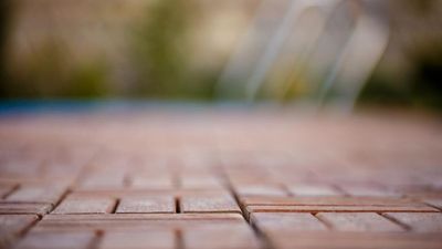 ჯინო ველნეს მცხეთა_7