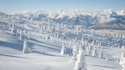 Люкс Апартаменты_2