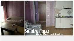 Sandro Papa's Apartments 13