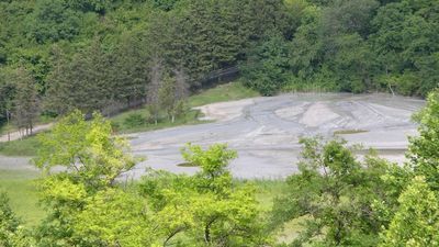 გურჯაანი_6