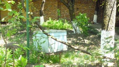 გურჯაანი_8