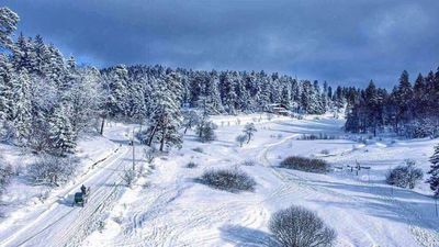 ბაკურიანი მგზავრები ბინა 220_6