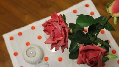 შარდენ ვილა_4