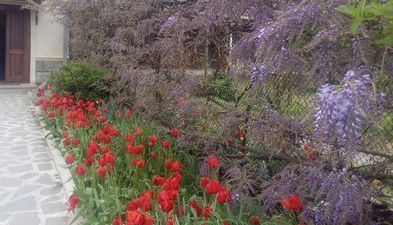 მარტინენკო_6