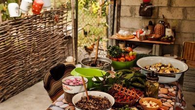 ლუდვიდ გესთჰაუს ლაგოდეხი_4