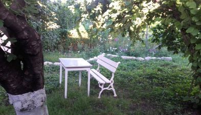 კოტეჯი_3