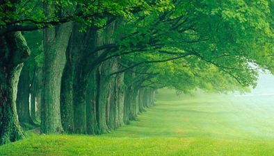 ქვეშეთი_2