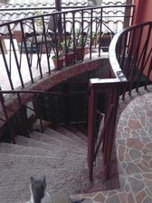 სიღნაღის მასპინძელი_5