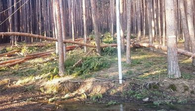 კოტეჯი სურამი_5