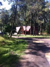 ყვავილნარი_4