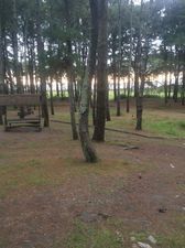 ყვავილნარი_9