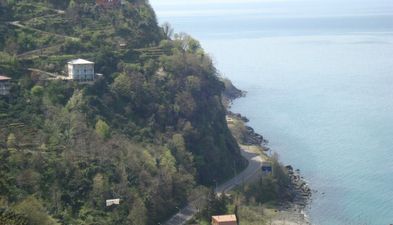 კალიფსო კვარიათი ინნ_3